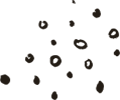 https://www.quintamusa.it/wp-content/uploads/2020/08/floating_image_02.png